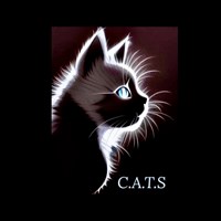 CATS Rescue Gloucestershire