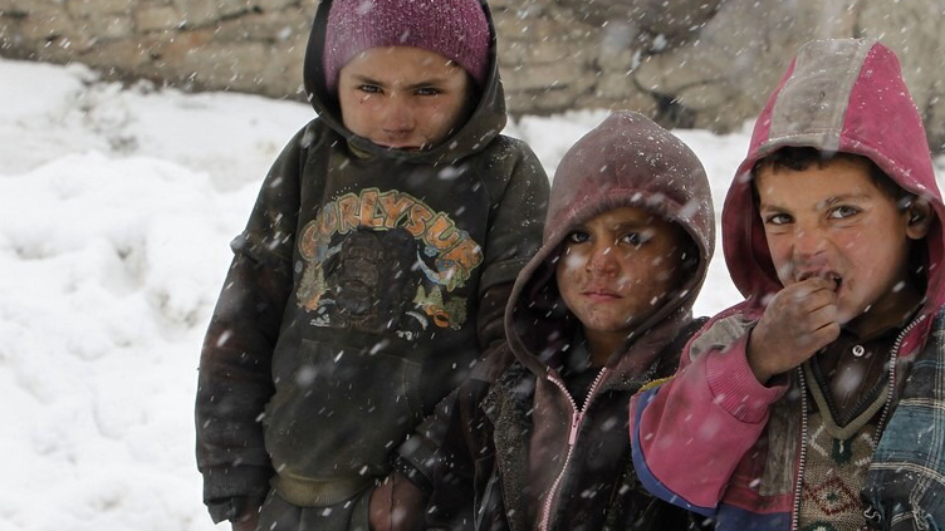FACE | GAZA WINTER APPEAL - JustGiving