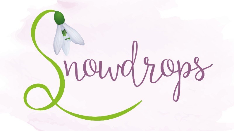 cover photo