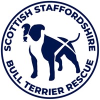 Scottish Staffordshire Bull Terrier Rescue