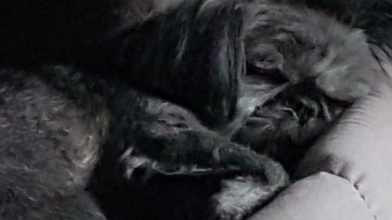 cover photo
