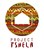 Fundraiser icon