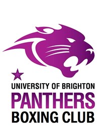 Team logo
