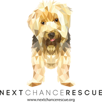 Next Chance Rescue