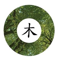 Chinese Medicine Forestry Trust