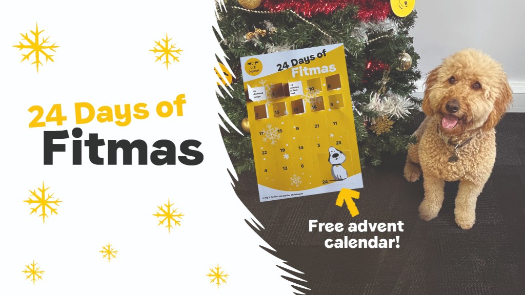 Dogs trust sale advent calendar