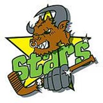 Oxford Junior Stars Ice Hockey Club