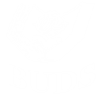 Batticaloa Underprivileged Development Society (BUDS).