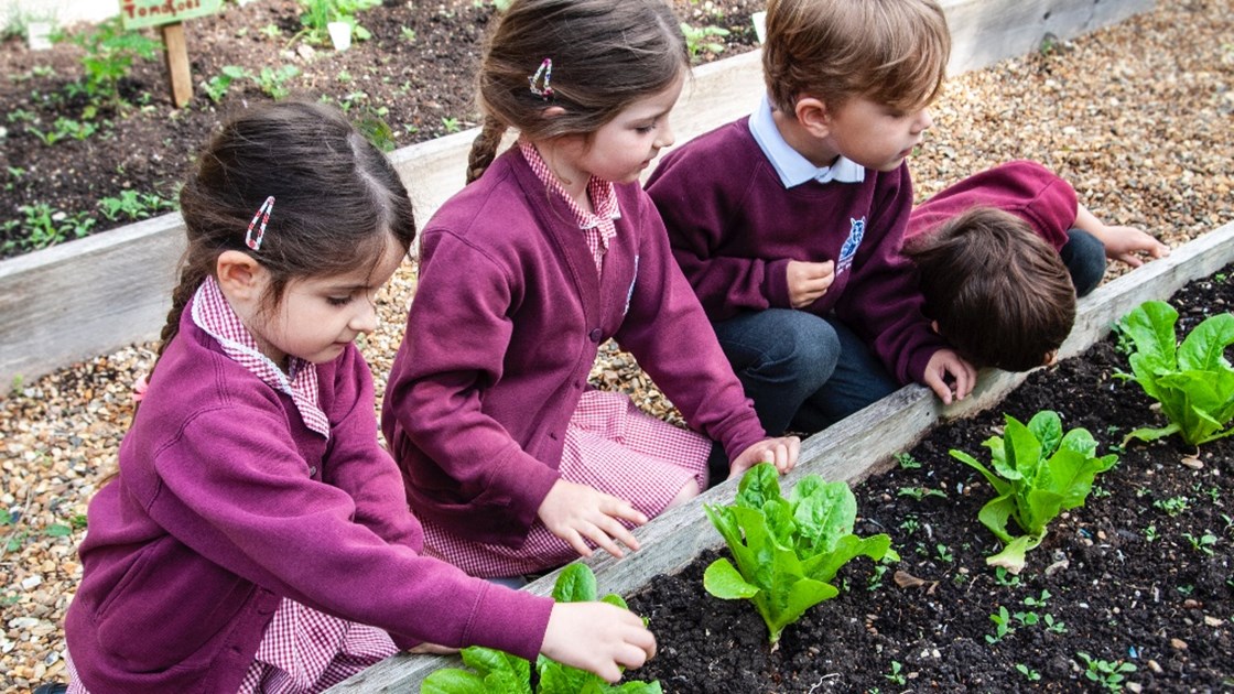 kettlefields-primary-school-minibus-fundraiser-justgiving