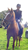 Fundraiser icon