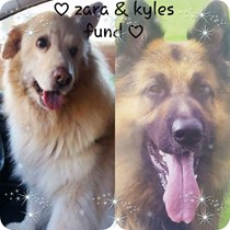 Zaraandkyles Fund