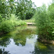 Friends of Barons Pond