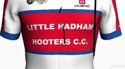 Team logo