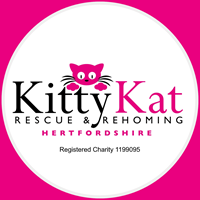 Kitty Kat Rescue & Rehoming