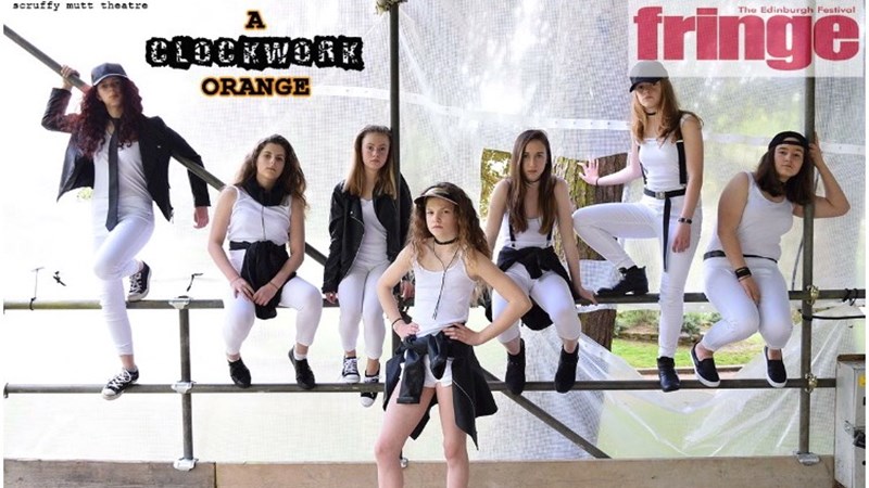cover photo