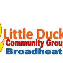 Ducks Ducks