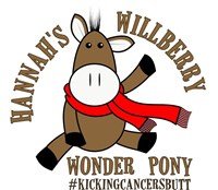 Hannah's Willberry Wonder Pony Charity