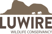 Luwire Wildlife Conservancy, Mozambique