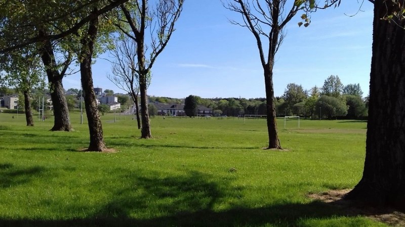 cover photo