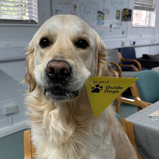 Stowe Vet Centre