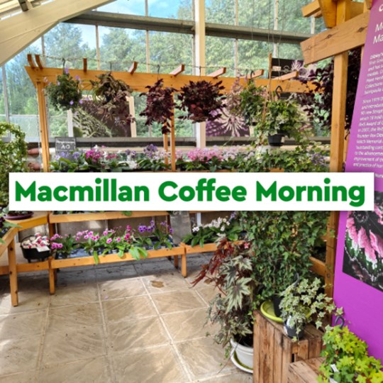 Dibleys Macmillan Coffee Morning 2025