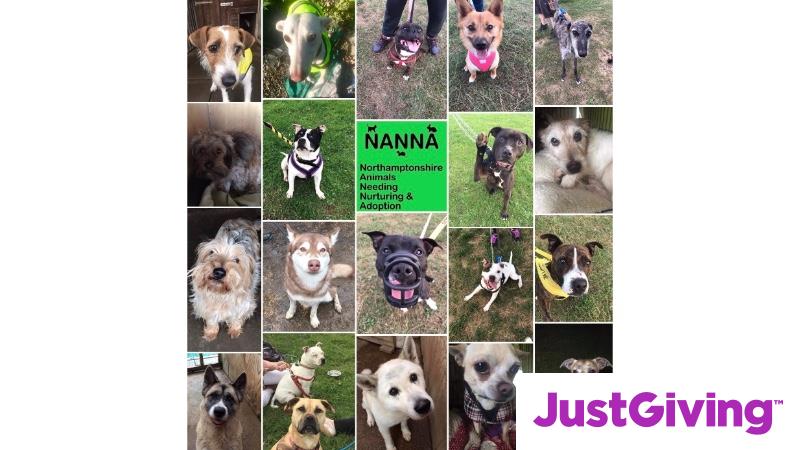 Nanna sales animal rescue