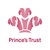 Fundraiser icon