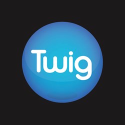 Team logo
