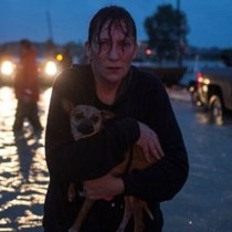 Hurricane Harvey Disaster Aid