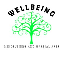Wellbeing Mindfulness and Martial Arts