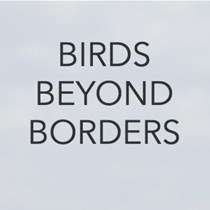 Birds Beyond Borders