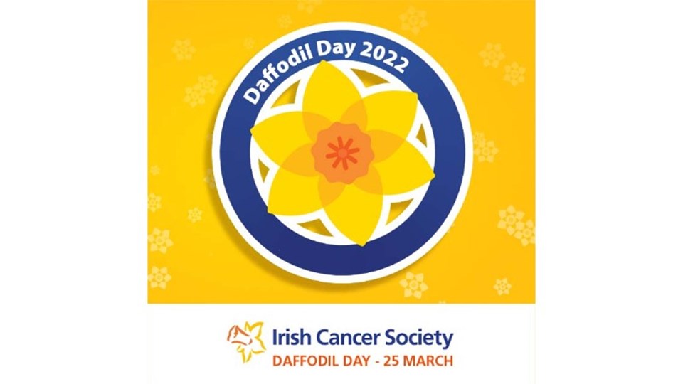 Daffodil Day for the Irish Cancer Society