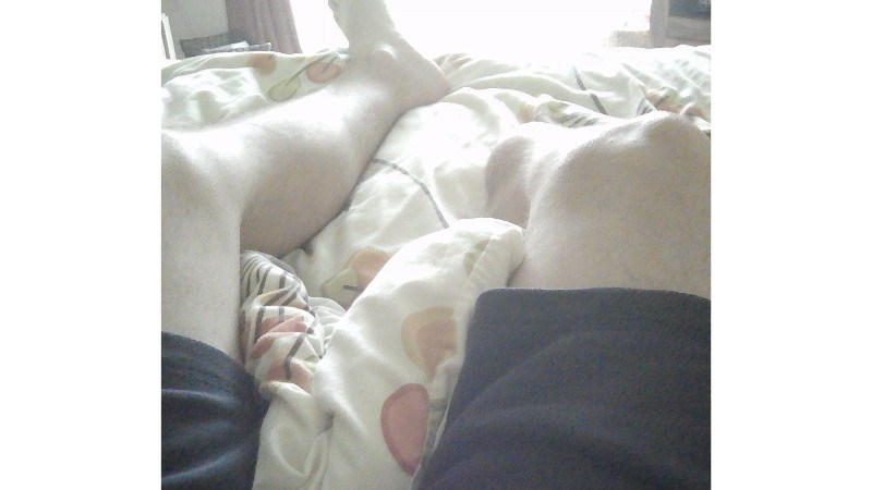 cover photo