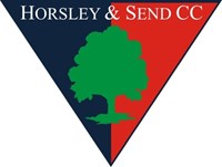 Horsley and Send Cricket Club