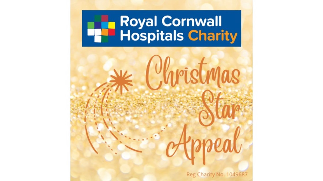 RCHT Christmas Star Appeal - JustGiving