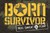 Fundraiser icon
