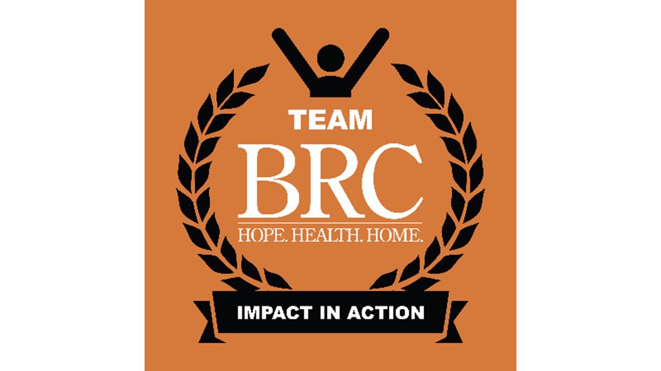 Karen's Virtual Team BRC 