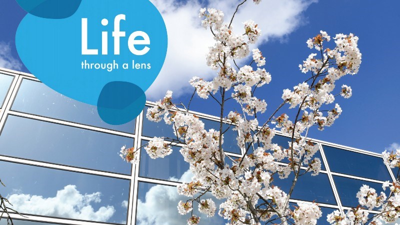 cover photo