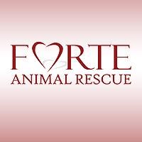 Forte Animal Rescue