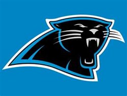 Team logo