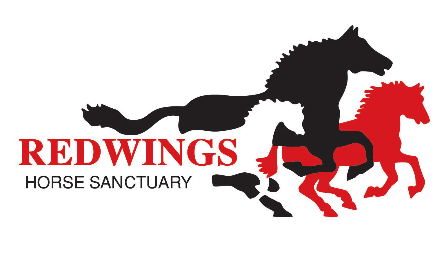 Redwings Horse Sanctuary