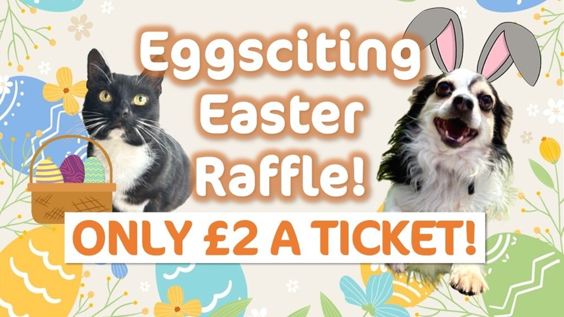 Eggsciting Easter Raffle! - JustGiving