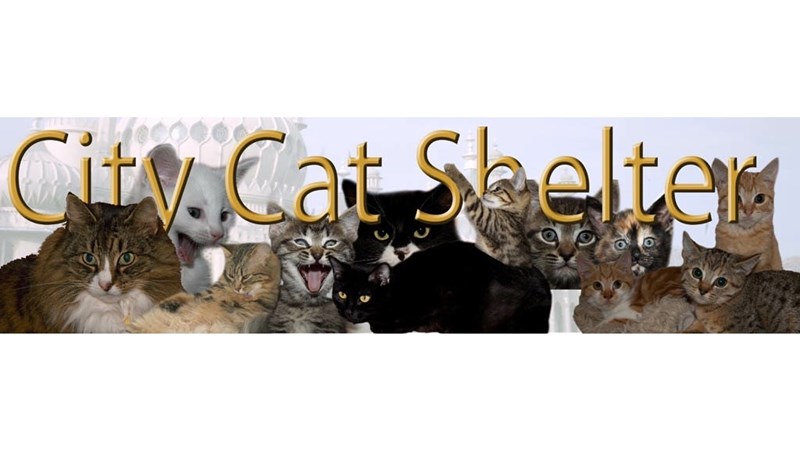 cover photo