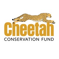 Cheetah Conservation Fund