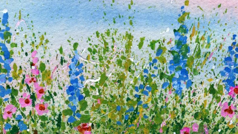 cover photo