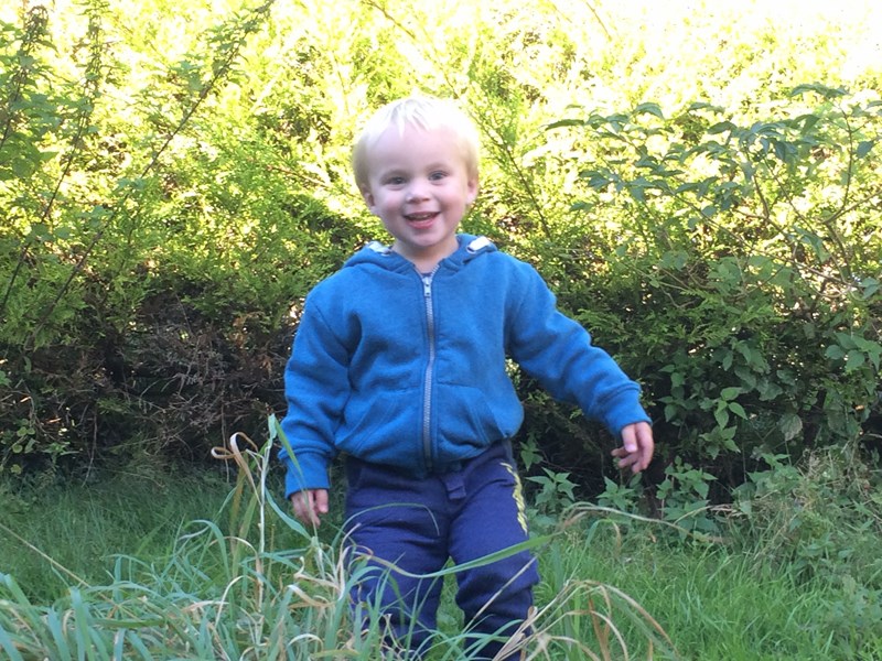 cover photo
