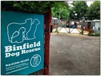 Crowdfunding To Binfield Dog Rescue On Justgiving