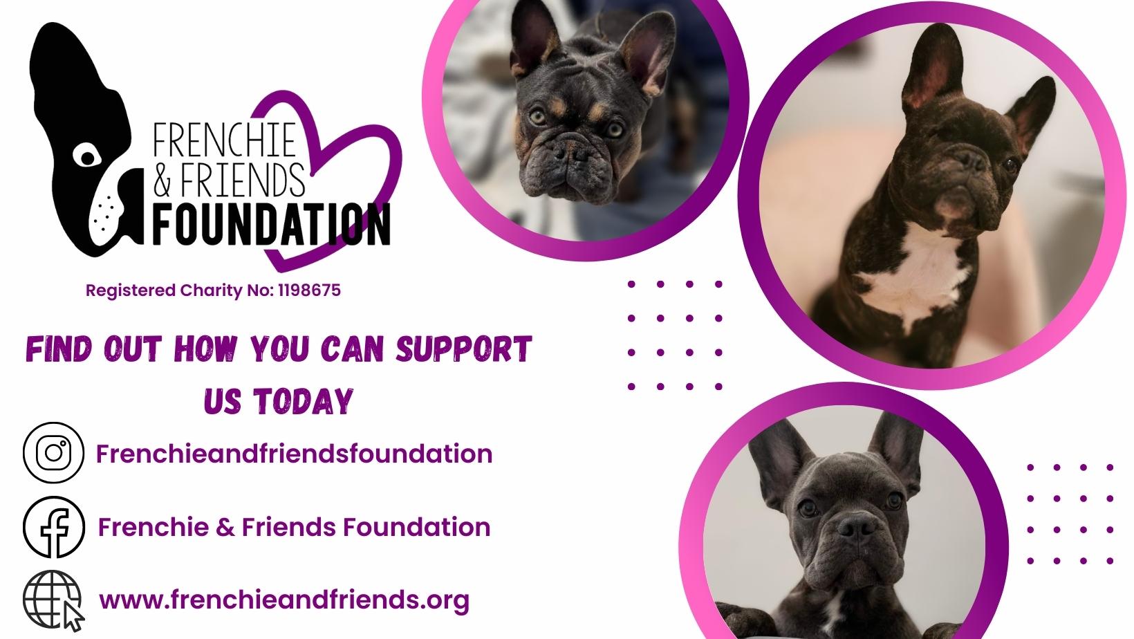 Frenchie & Friends Foundation