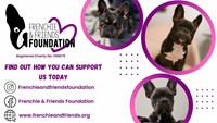 Frenchie & Friends Foundation