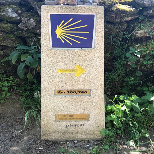 Mark's Virtual Camino Walk